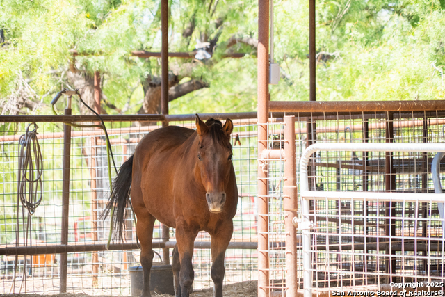 Listing photo id 45 for 2133 Lausen  