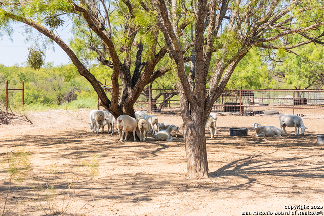 Listing photo id 47 for 2133 Lausen  