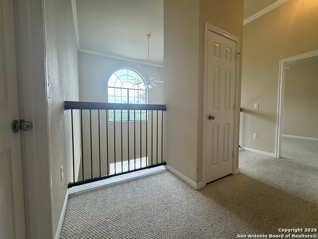 Listing photo id 33 for 6160 Eckhert  Apt 103