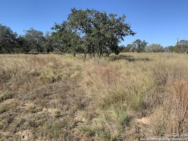 Image 2 of 7 For 203 Cr 789  