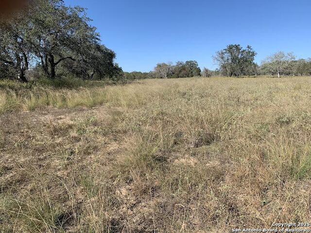 Image 3 of 7 For 203 Cr 789  