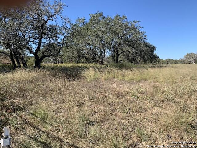 Image 4 of 7 For 203 Cr 789  