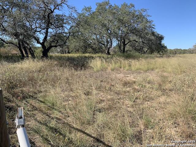 Image 5 of 7 For 203 Cr 789  