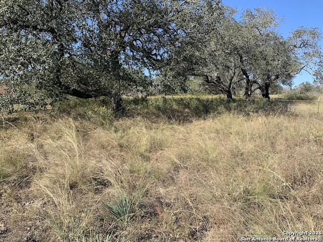 Image 7 of 7 For 203 Cr 789  