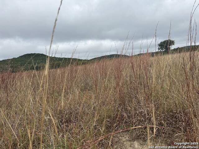 Image 12 of 35 For 176 Concho Lane