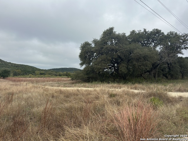 Image 14 of 35 For 176 Concho Lane