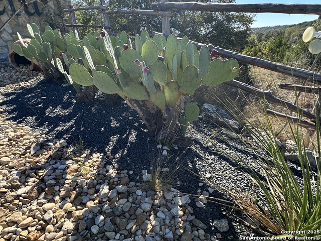 Image 2 of 35 For 176 Concho Lane