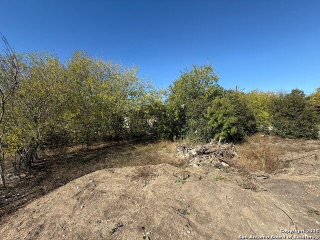 Listing photo id 3 for 228 Guanajuato