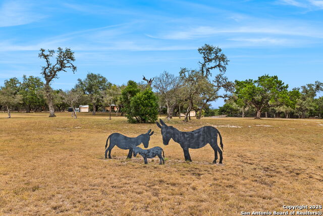 Image 21 of 44 For 115 Sage Oaks Trail