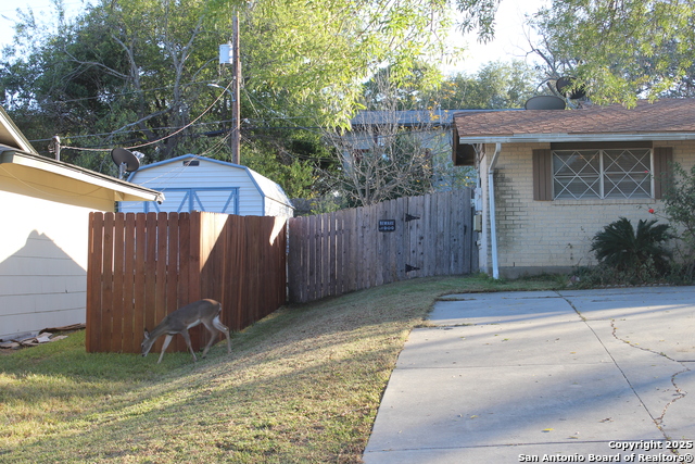 Image 23 of 26 For 5906 Gabor