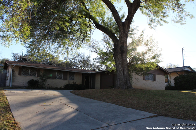 Image 24 of 26 For 5906 Gabor