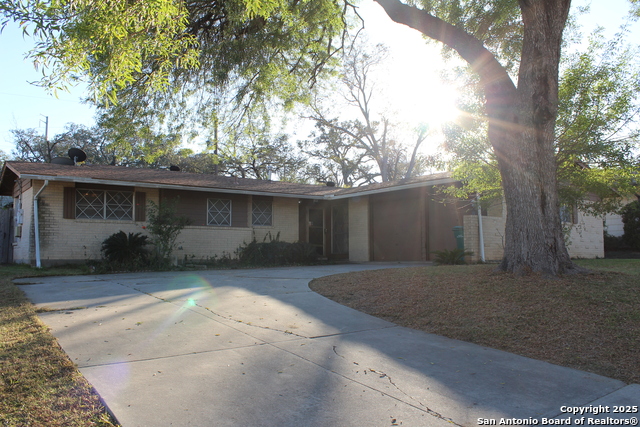 Image 25 of 26 For 5906 Gabor