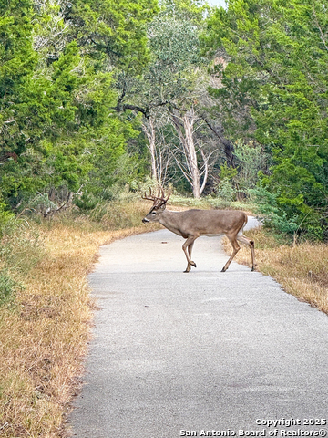 Image 55 of 56 For 4014 Arena Blanca
