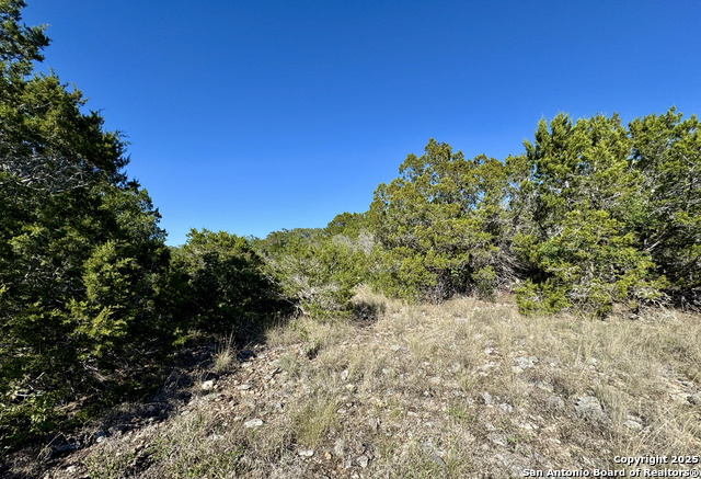 Image 10 of 23 For Lot 182 County Road 2816