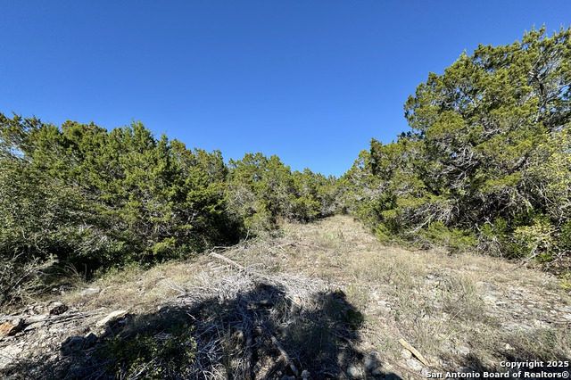 Image 11 of 23 For Lot 182 County Road 2816