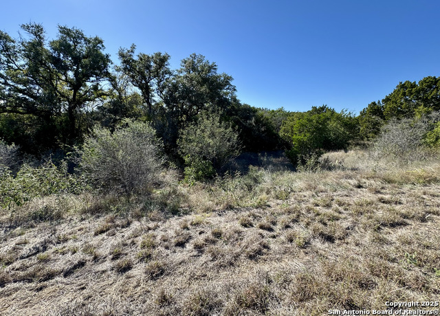 Image 13 of 23 For Lot 182 County Road 2816