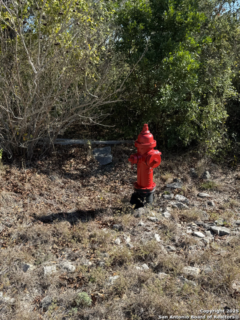 Image 16 of 23 For Lot 182 County Road 2816