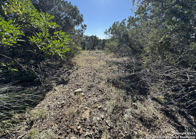 Image 5 of 23 For Lot 182 County Road 2816