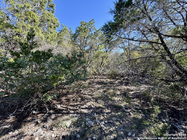 Image 6 of 23 For Lot 182 County Road 2816