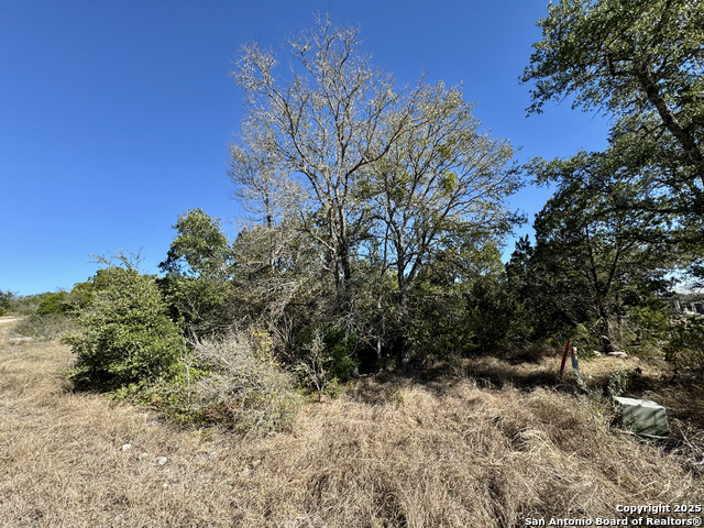 Image 7 of 23 For Lot 182 County Road 2816