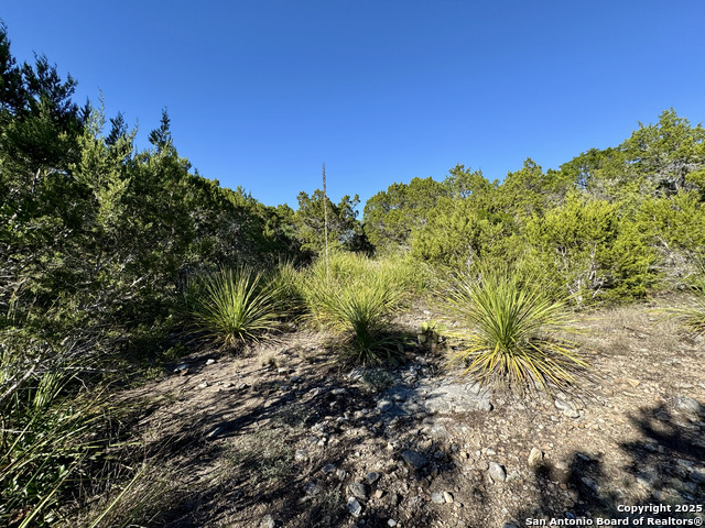 Image 9 of 23 For Lot 182 County Road 2816