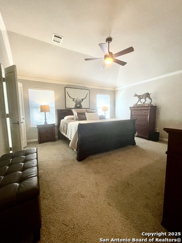 Image 20 of 38 For 3618 Globe Willow