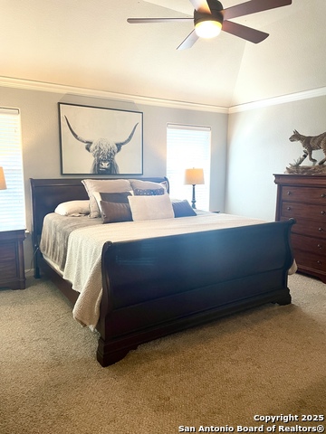 Image 21 of 38 For 3618 Globe Willow