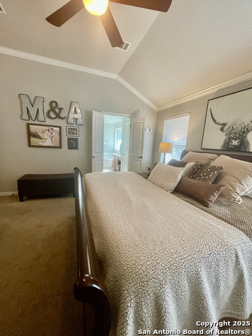 Image 22 of 38 For 3618 Globe Willow