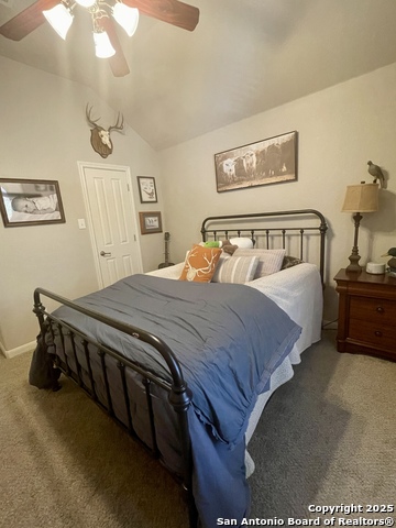 Image 25 of 38 For 3618 Globe Willow