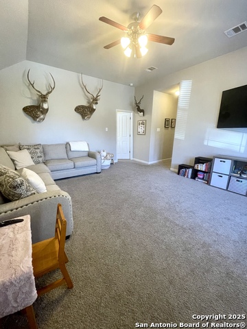 Image 29 of 38 For 3618 Globe Willow