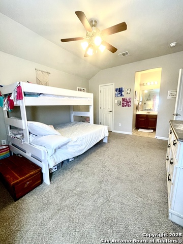 Image 32 of 38 For 3618 Globe Willow