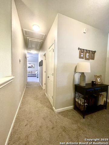 Image 35 of 38 For 3618 Globe Willow