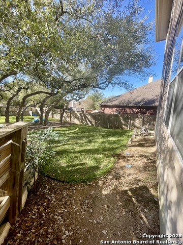 Image 38 of 38 For 3618 Globe Willow