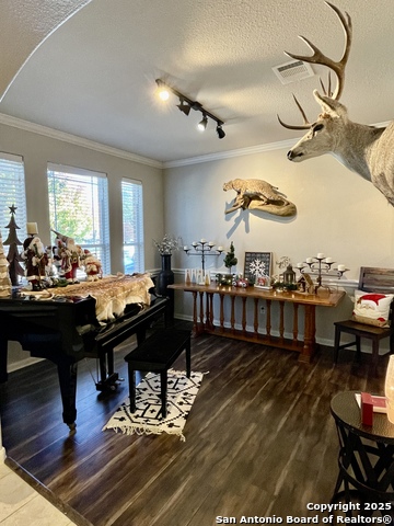 Image 5 of 38 For 3618 Globe Willow