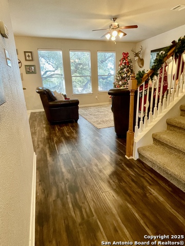 Image 6 of 38 For 3618 Globe Willow