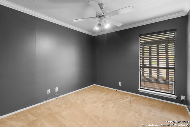 Listing photo id 13 for 810 Clearview