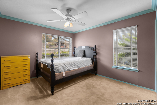 Listing photo id 14 for 810 Clearview