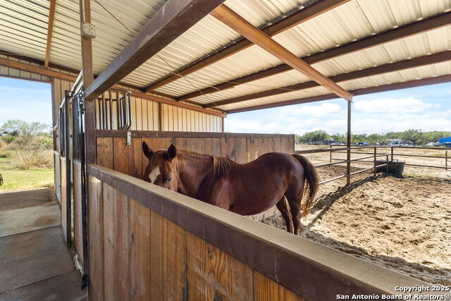 Image 35 of 48 For 381 Schneider