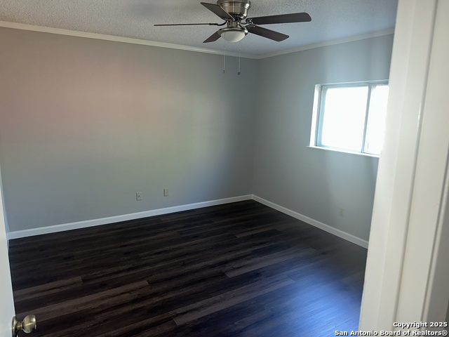 Image 6 of 7 For 13614 Primwood