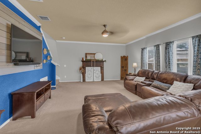 Image 10 of 40 For 1933 Spotted Owl