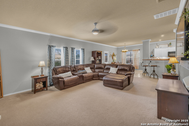 Image 11 of 40 For 1933 Spotted Owl