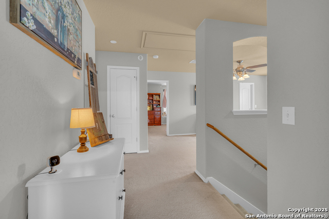 Image 20 of 40 For 1933 Spotted Owl