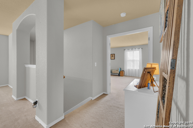 Image 21 of 40 For 1933 Spotted Owl