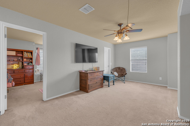 Image 22 of 40 For 1933 Spotted Owl