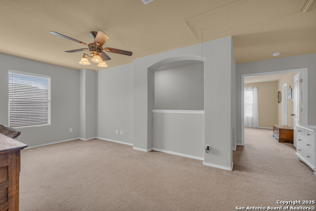 Image 23 of 40 For 1933 Spotted Owl