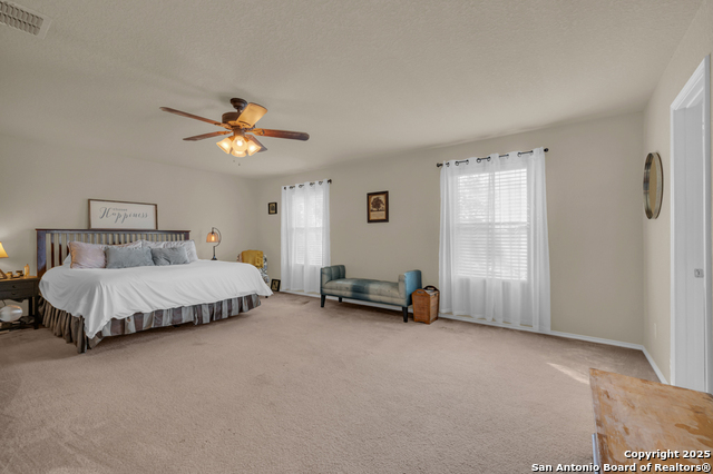 Image 24 of 40 For 1933 Spotted Owl