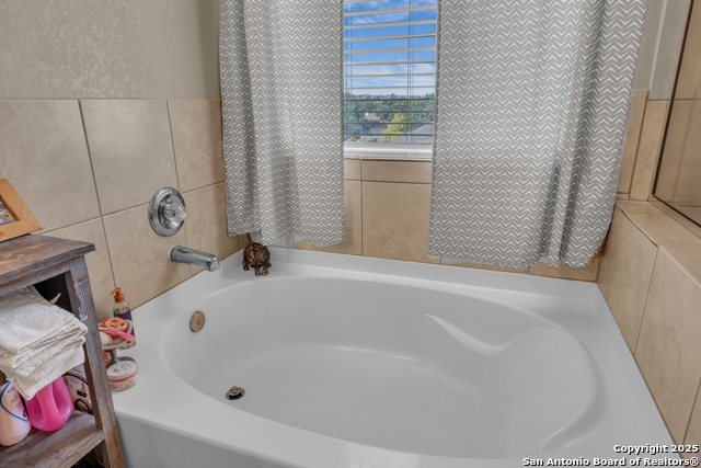 Image 27 of 40 For 1933 Spotted Owl