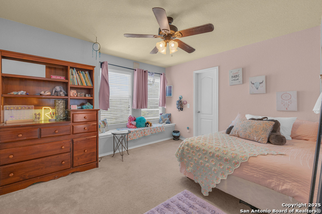 Image 28 of 40 For 1933 Spotted Owl