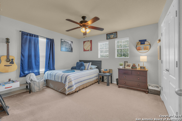 Image 29 of 40 For 1933 Spotted Owl