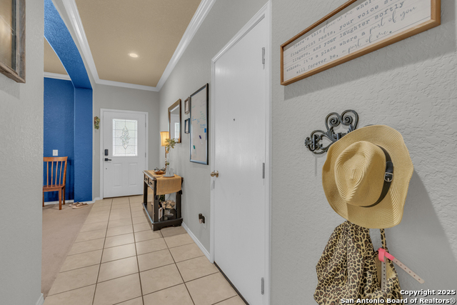 Image 3 of 40 For 1933 Spotted Owl